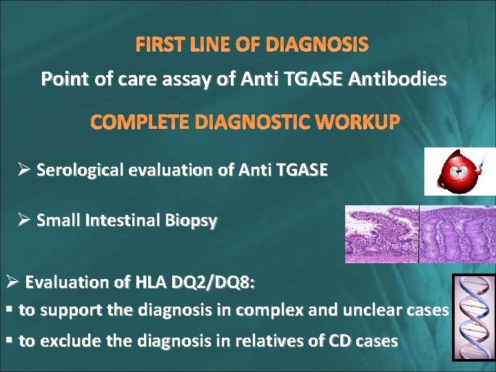 FIRST LINE OF DIAGNOSIS Point of care assay of Anti TGASE Antibodies COMPLETE DIAGNOSTIC