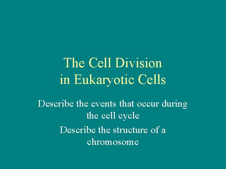 The Cell Division in Eukaryotic Cells Describe the events that occur during the cell