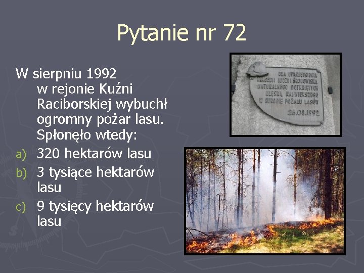 Pytanie nr 72 W sierpniu 1992 w rejonie Kuźni Raciborskiej wybuchł ogromny pożar lasu.