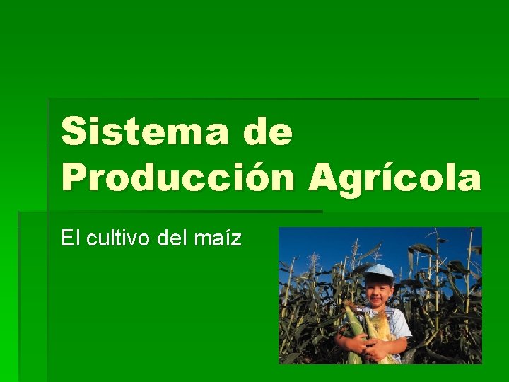 Sistema de Producción Agrícola El cultivo del maíz 