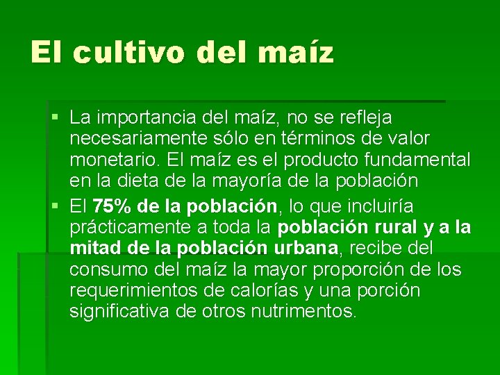 El cultivo del maíz § La importancia del maíz, no se refleja necesariamente sólo