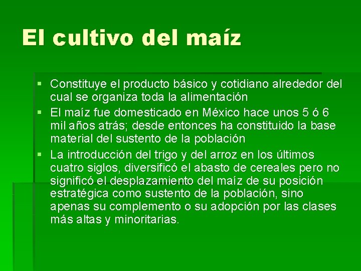 El cultivo del maíz § Constituye el producto básico y cotidiano alrededor del cual