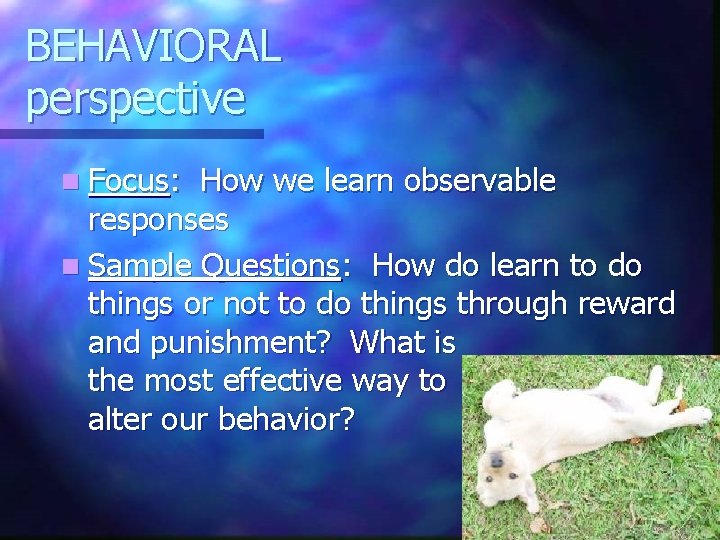 BEHAVIORAL perspective n Focus: How we learn observable responses n Sample Questions: How do