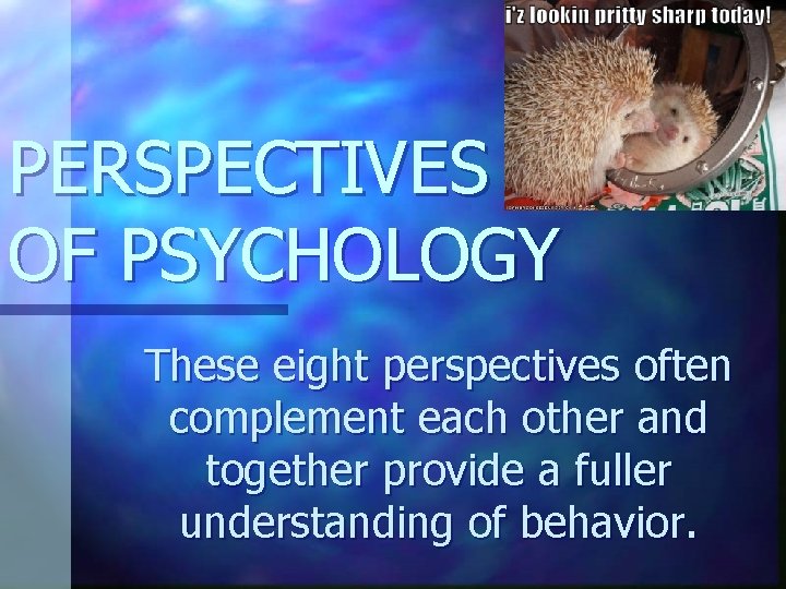 PERSPECTIVES OF PSYCHOLOGY These eight perspectives often complement each other and together provide a