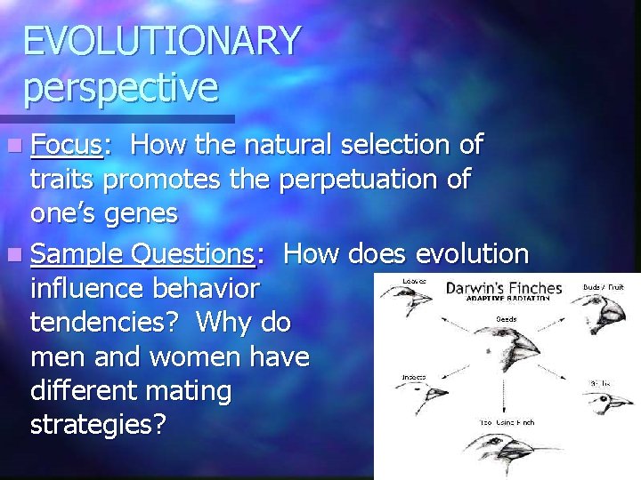 EVOLUTIONARY perspective n Focus: How the natural selection of traits promotes the perpetuation of