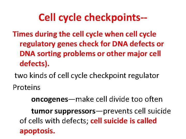 Cell cycle checkpoints-Times during the cell cycle when cell cycle regulatory genes check for Cell cycle checkpoints-Times during the cell cycle when cell cycle regulatory genes check for