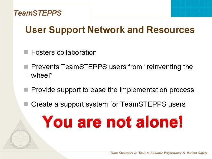 Team. STEPPS User Support Network and Resources n Fosters collaboration n Prevents Team. STEPPS