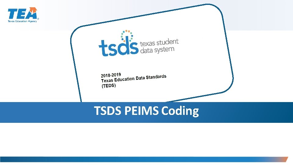 TSDS PEIMS Coding 
