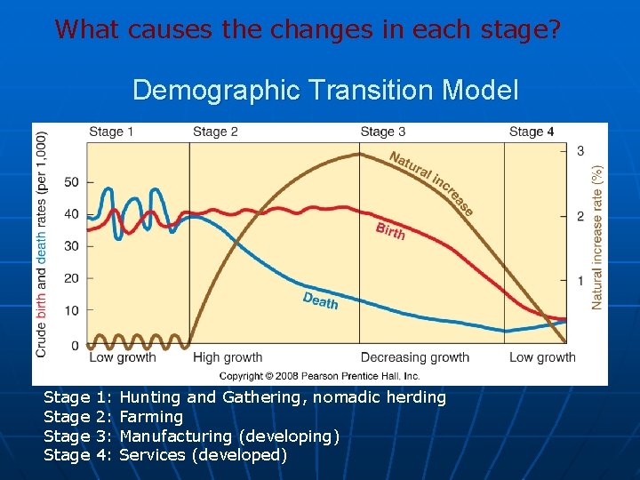 What causes the changes in each stage? Demographic Transition Model Stage 1: 2: 3: