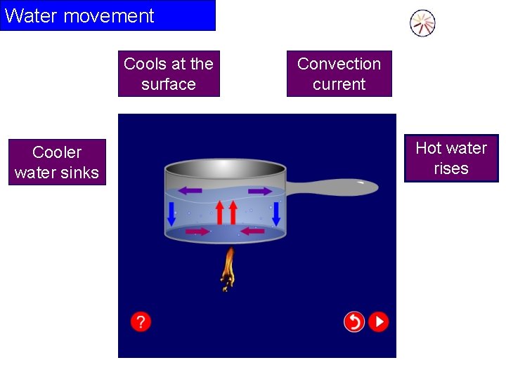 Water movement Cools at the surface Cooler water sinks Convection current Hot water rises Water movement Cools at the surface Cooler water sinks Convection current Hot water rises