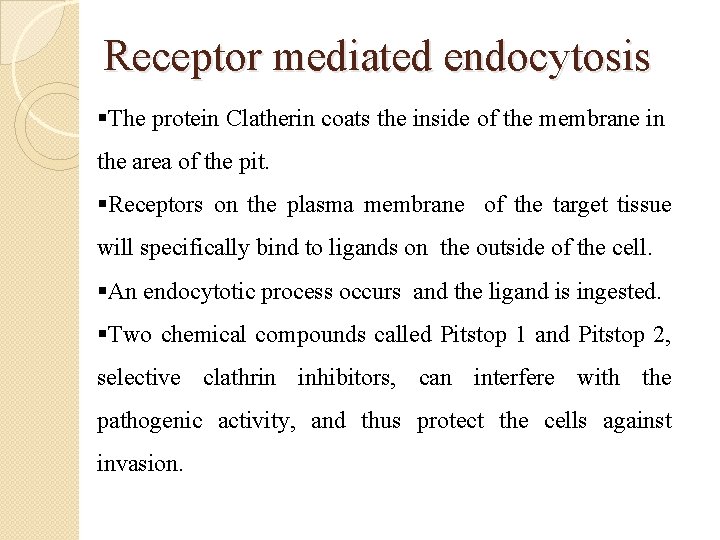Receptor mediated endocytosis §The protein Clatherin coats the inside of the membrane in the