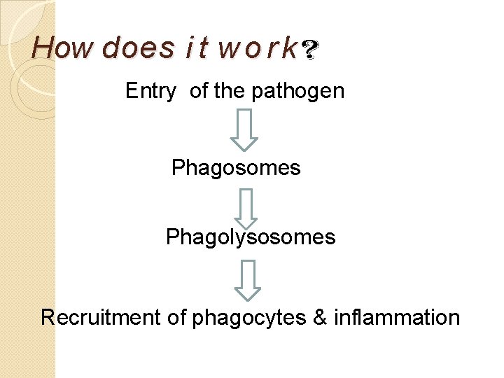 How does i t w o r k Entry of the pathogen Phagosomes Phagolysosomes