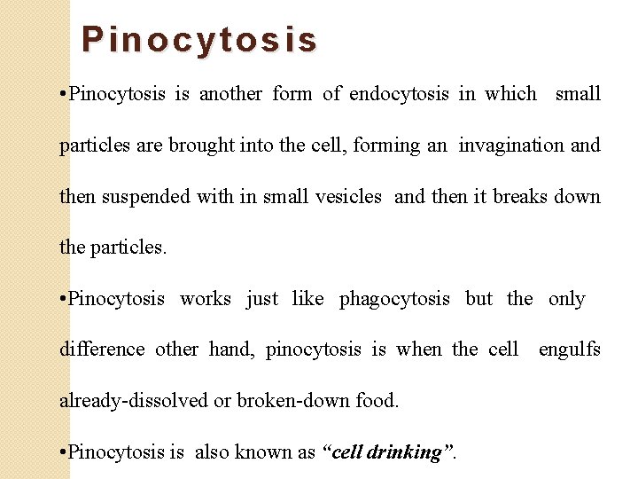 Pinocytosis • Pinocytosis is another form of endocytosis in which small particles are brought