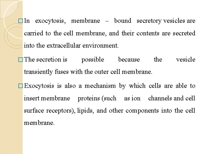 � In exocytosis, membrane – bound secretory vesicles are carried to the cell membrane,