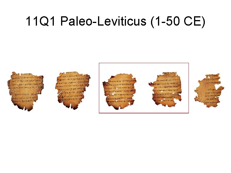 11 Q 1 Paleo-Leviticus (1 -50 CE) 