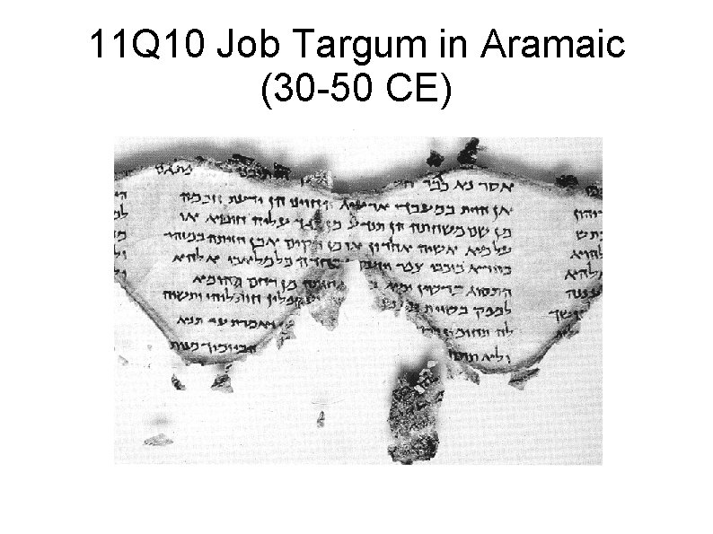 11 Q 10 Job Targum in Aramaic (30 -50 CE) 