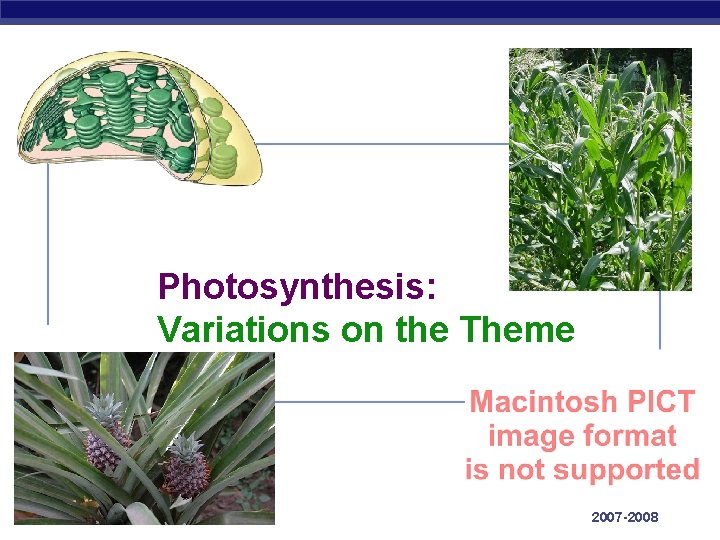 Photosynthesis: Variations on the Theme AP Biology 2007 -2008 