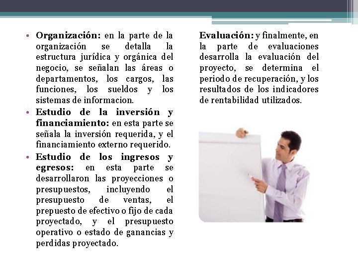  • Organización: en la parte de la organización se detalla la estructura jurídica