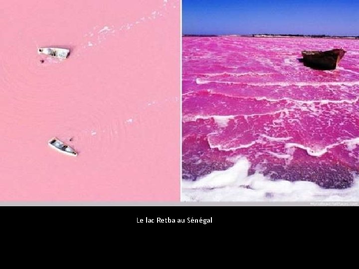 Le lac Retba au Sénégal 