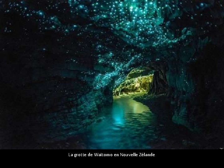 La grotte de Waitomo en Nouvelle Zélande 