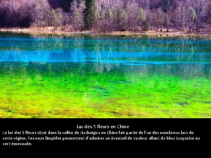 Lac des 5 fleurs en Chine Le lac des 5 fleurs situé dans la