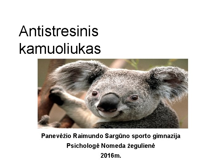 Antistresinis kamuoliukas Panevėžio Raimundo Sargūno sporto gimnazija Psichologė Nomeda žegulienė 2016 m. 