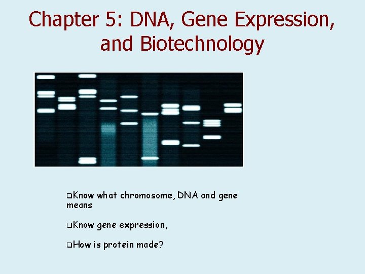 Chapter 5: DNA, Gene Expression, and Biotechnology q. Know what chromosome, DNA and gene