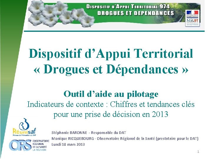 Dispositif d’Appui Territorial « Drogues et Dépendances » Outil d’aide au pilotage Indicateurs de