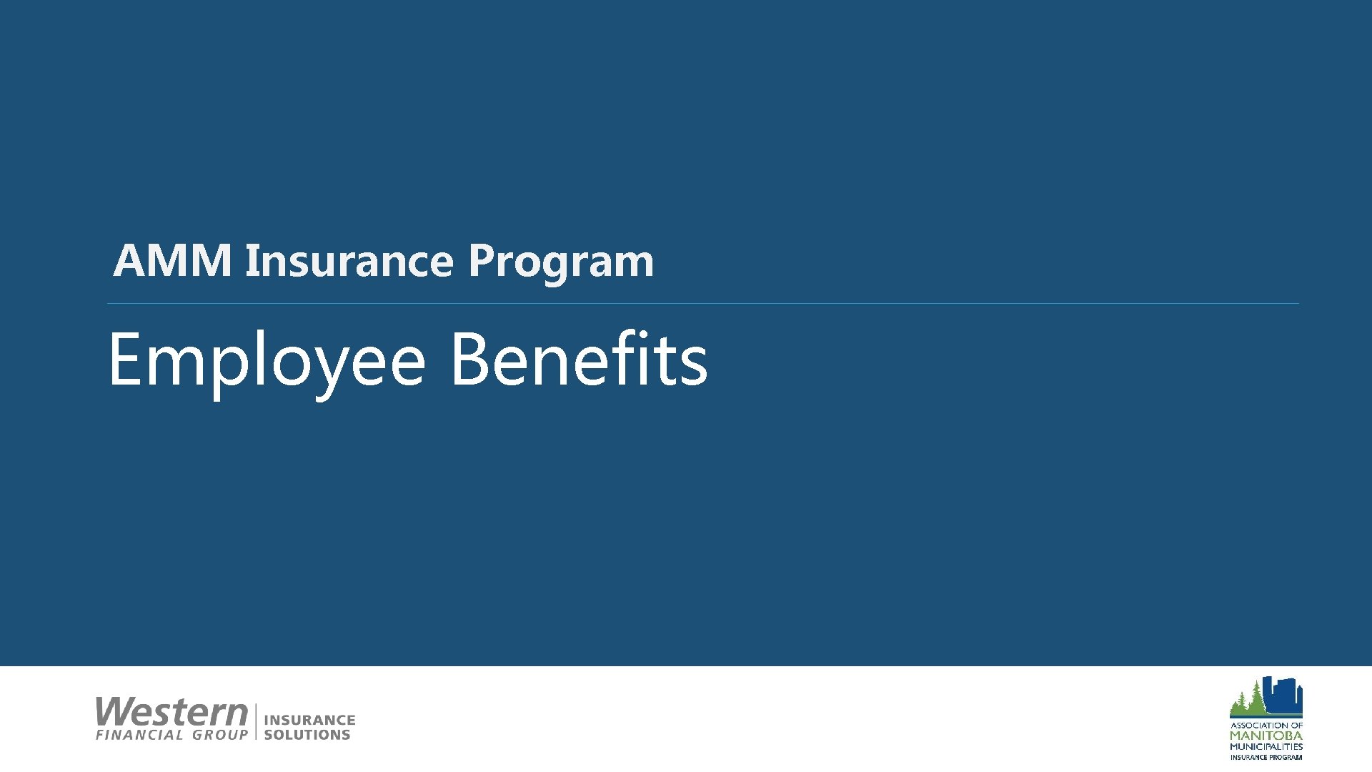 16 AMM Insurance Program Employee Benefits 