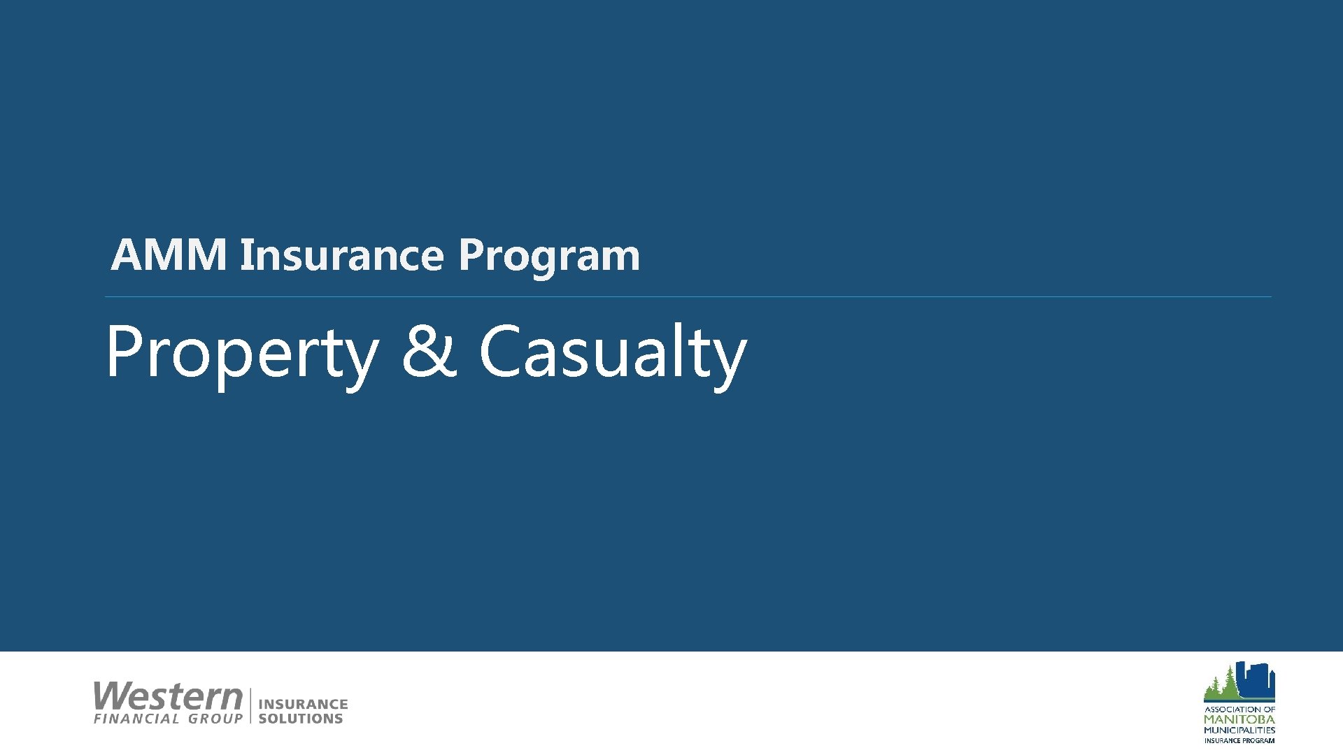 3 AMM Insurance Program Property & Casualty 