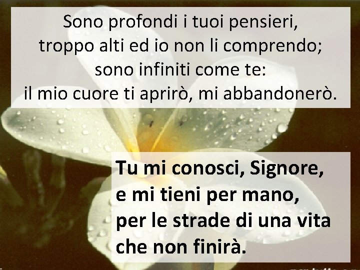 Sono profondi i tuoi pensieri, troppo alti ed io non li comprendo; sono infiniti