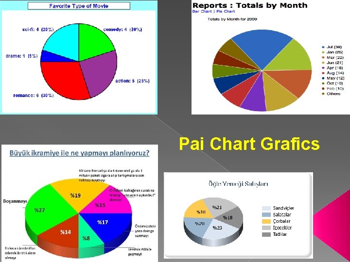 Pai Chart Grafics 