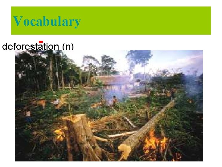 Vocabulary deforestation (n) 