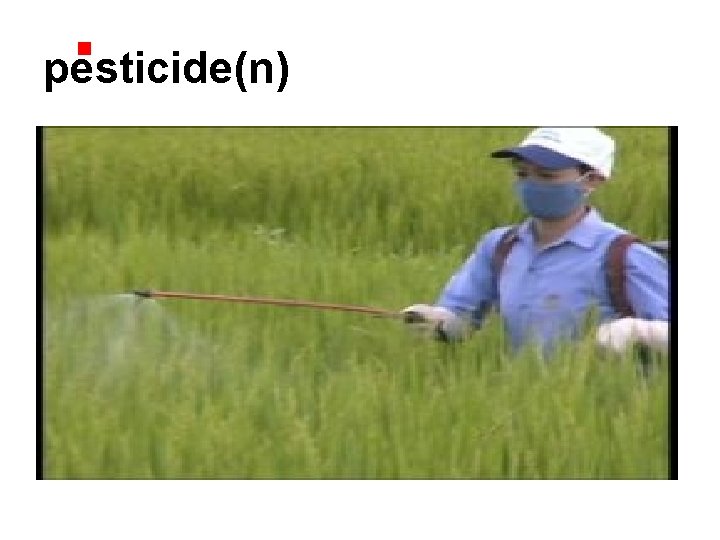 pesticide(n) 