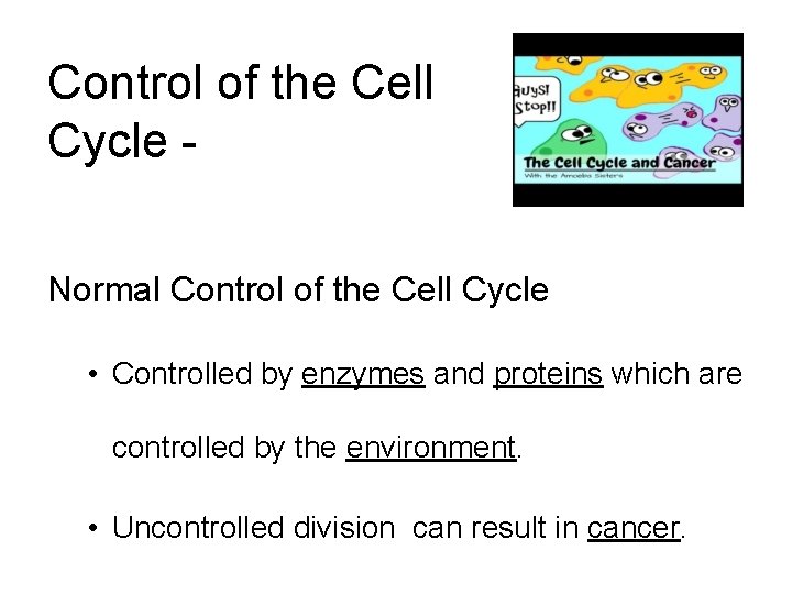 Control of the Cell Cycle Normal Control of the Cell Cycle • Controlled by