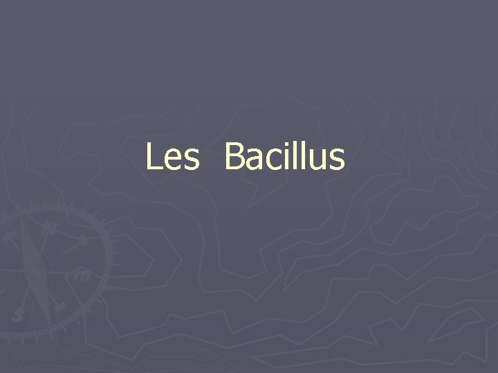 Les Bacillus 