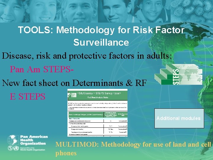 TOOLS: Methodology for Risk Factor Surveillance Disease, risk and protective factors in adults: Pan