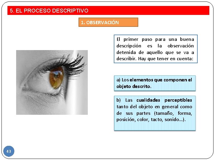 5. EL PROCESO DESCRIPTIVO 1. OBSERVACIÓN El primer paso para una buena descripción es