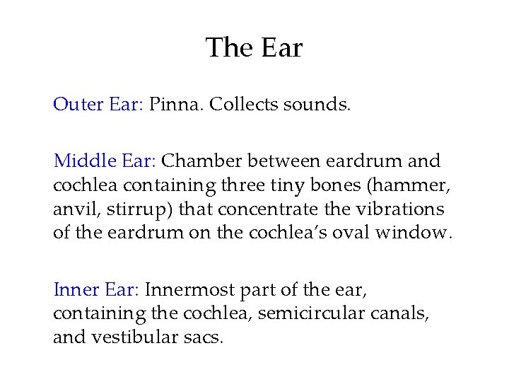 The Ear Outer Ear: Pinna. Collects sounds. Middle Ear: Chamber between eardrum and cochlea