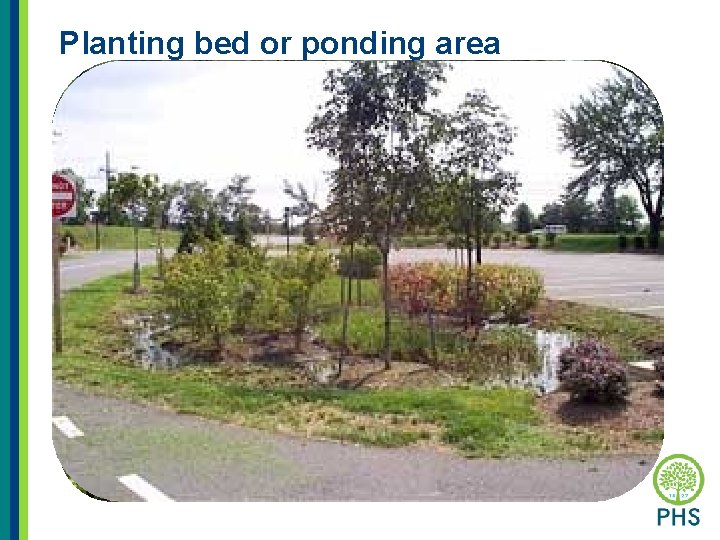 Planting bed or ponding area 