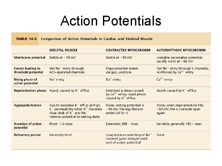 Action Potentials 