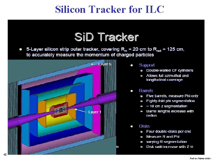 Silicon Tracker for ILC 43 Andrei Nomerotski 