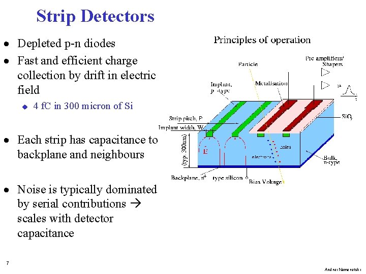 Strip Detectors · Depleted p-n diodes · Fast and efficient charge collection by drift