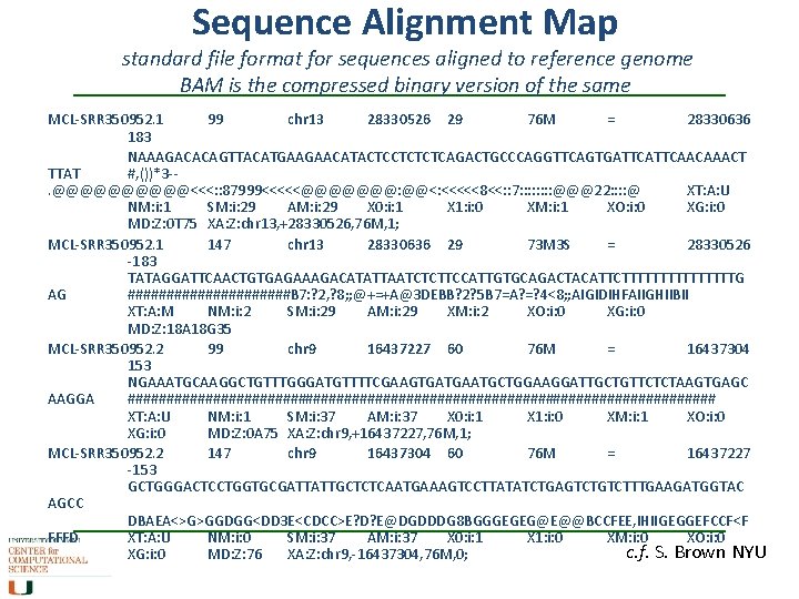 Sequence Alignment Map standard file format for sequences aligned to reference genome BAM is