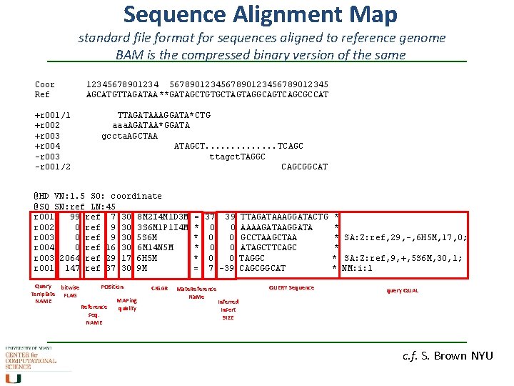 Sequence Alignment Map standard file format for sequences aligned to reference genome BAM is