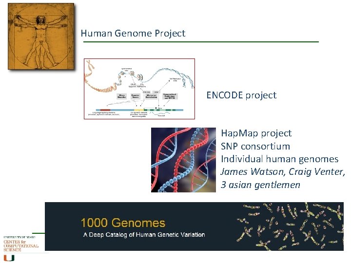 Human Genome Project ENCODE project Hap. Map project SNP consortium Individual human genomes James