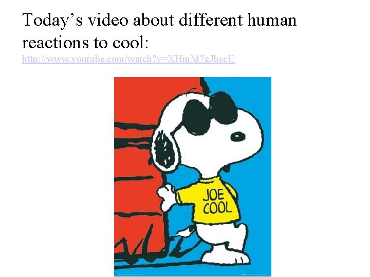 Today’s video about different human reactions to cool: http: //www. youtube. com/watch? v=XHm. M
