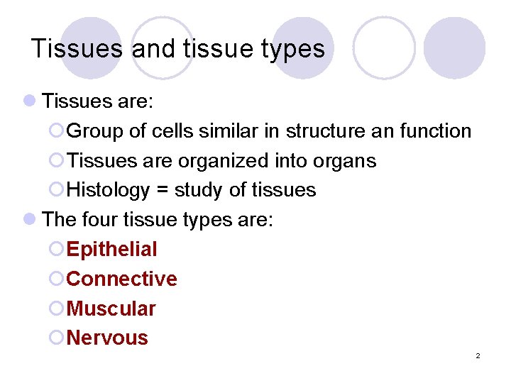 Tissues and tissue types l Tissues are: ¡Group of cells similar in structure an