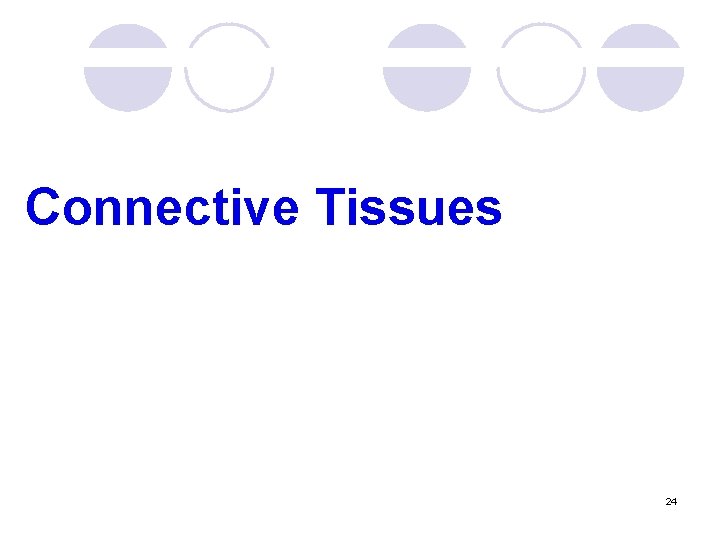 Connective Tissues 24 