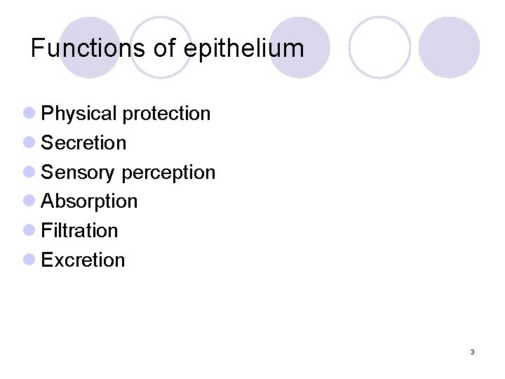 Functions of epithelium l Physical protection l Secretion l Sensory perception l Absorption l